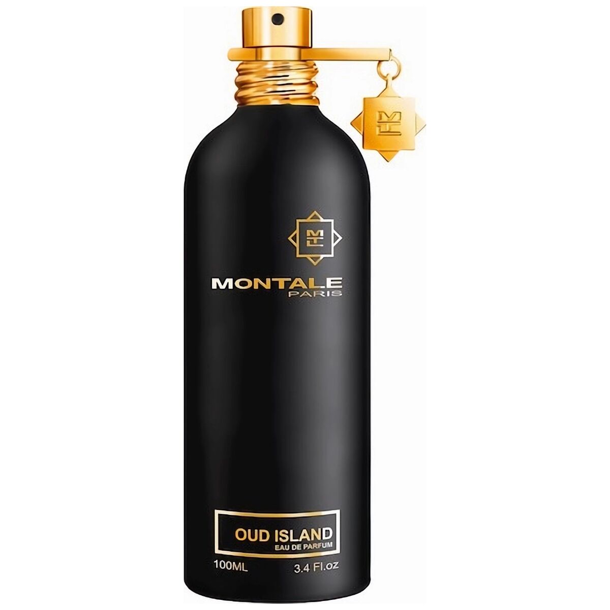 Montale Paris Oud Island edp 100ml